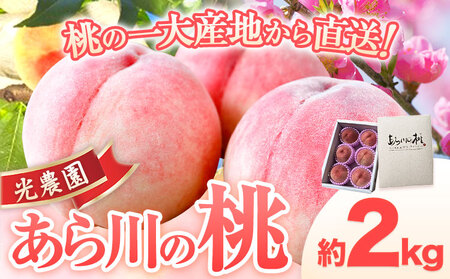 【先行予約】あら川の桃 約2kg 光農園《6月末-8月末頃出荷》和歌山県 紀の川市 桃 もも モモ 日川白鳳 八幡白鳳 白鳳 なつおとめ 川中島白桃 あら川 黄金桃 つきかがみ 幸茜 さくら