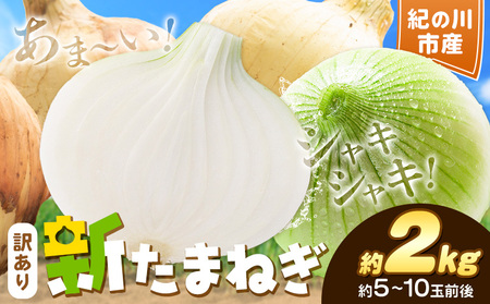 訳あり たまねぎ 新たまねぎ 新 玉ねぎ 紀の川市産 約2kg 不選別[5月下旬-7月中旬頃出荷]和歌山県 紀の川市 送料無料 野菜 玉葱 新玉ねぎ 新たま 旬 お取り寄せ 訳あり野菜