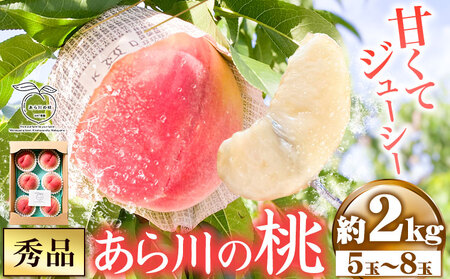 先行予約 秀品 あら川の桃 約2kg (5～8玉) 旬の品種をお届け！ もも WAT農園《2025年6月中旬-8月下旬頃出荷》 和歌山県 紀の川市 モモ フルーツ 旬の桃 桃山白鳳 白鳳 川中島白桃