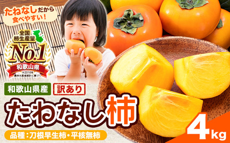 【先行予約】訳あり たねなし柿4kg《9月中旬-11月上旬頃より出荷予定》柿柿柿柿