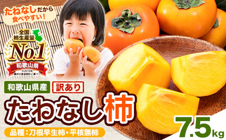 【先行予約】訳あり たねなし柿7.5kg《9月中旬-11月上旬頃より出荷予定》柿柿柿柿