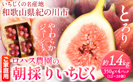 ご家庭用 朝採りいちじく 約1.4kg 350g×4パック ロハス農園《8月上旬-11月末頃出荷》和歌山県 紀の川市 無花果 イチジク【配送不可地域あり】
