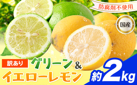 訳あり 国産レモン 約2kg [10月上旬-1月下旬頃出荷]レモンレモンレモンレモン