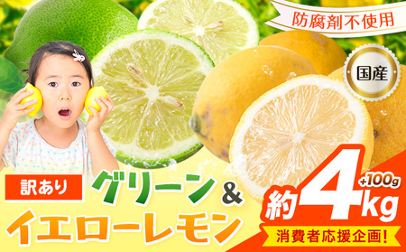 Y҉I󂠂 Y 4kg{100g s10{-1{oׁt