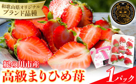和歌山県産 まりひめ苺 ゆりかーご入り 1パック いちご イチゴ 株式会社ふるーつふぁーむわかやま [12月下旬-5月中旬頃出荷] 和歌山県 紀の川市