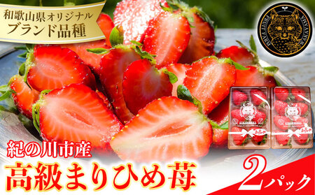 和歌山県産 まりひめ苺 ゆりかーご入り 2パック いちご イチゴ 株式会社ふるーつふぁーむわかやま [12月下旬-5月中旬頃出荷] 和歌山県 紀の川市