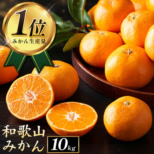 みかん ご家庭用みかん約10kg