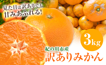 訳ありみかん 3kg こだまファーム[10月中旬-2月下旬頃出荷]和歌山県 紀の川市 みかん ミカン 柑橘 果物 フルーツ 訳あり 訳アリ ご家庭用 和歌山県産