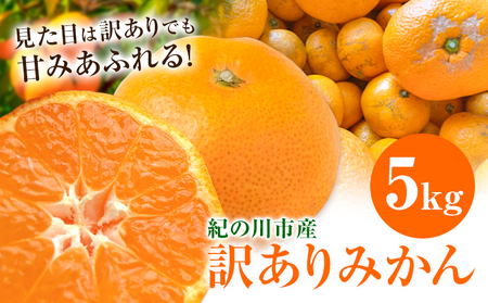 訳ありみかん 5kg こだまファーム《10月中旬-2月下旬頃出荷》和歌山県 紀の川市 みかん ミカン 柑橘 果物 フルーツ 訳あり 訳アリ ご家庭用 和歌山県産