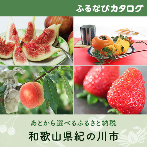 【有効期限なし！後からゆっくり特産品を選べる】和歌山県紀の川市カタログポイント