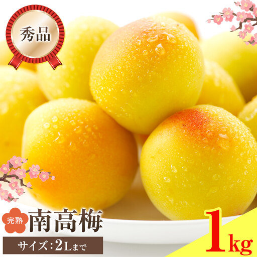 紀州南高梅 秀品(完熟) 2L 1kg 農業福祉研究機構[6月下旬-7月上旬頃出荷]