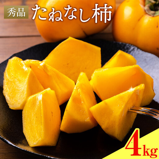 たねなし柿 秀品 4kg 農業福祉研究機構[9月上旬-11月上旬頃出荷]