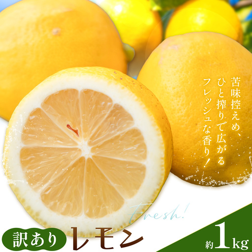 レモン 訳あり 黄色 檸檬 1kg (1kgあたり5-12玉前後) 株式会社農業福祉研究機構[2026年12月上旬-2027年2月上旬頃出荷]和歌山県 紀の川市 フルーツ 果物 お取り寄せフルーツ