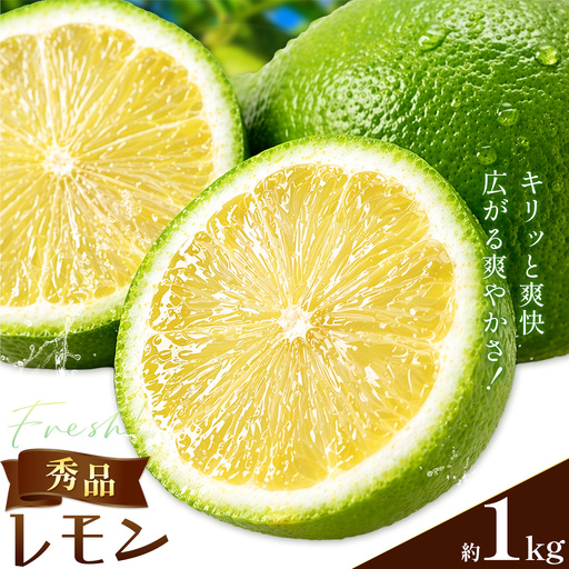 レモン 秀品 緑色 檸檬 1kg (1kgあたり8-11玉前後) 株式会社農業福祉研究機構[10月上旬-11月上旬頃出荷]和歌山県 紀の川市 フルーツ 果物 お取り寄せフルーツ