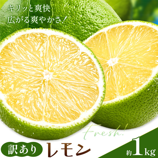 レモン 訳あり 緑色 檸檬 1kg (1kgあたり5-12玉前後) 株式会社農業福祉研究機構[10月上旬-11月上旬頃出荷]和歌山県 紀の川市 フルーツ 果物 お取り寄せフルーツ