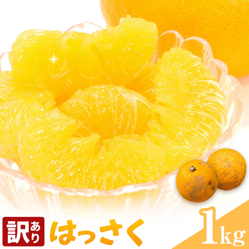 はっさく 訳あり 1kg 株式会社農業福祉研究機構