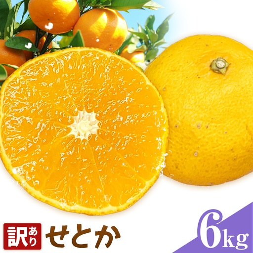 せとか 訳あり 6kg(34-40玉前後) 株式会社農業福祉研究機構[2027年2月下旬-3月下旬頃出荷]