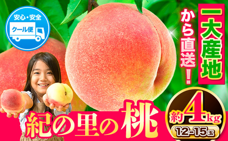 桃 もも 和歌山県産 紀の里の桃 約4kg [2024年6月中旬-8月中旬頃出荷]