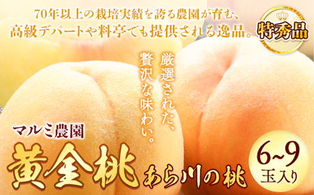 あら川の桃 黄金桃 特秀品 6個-9個入 マルミ農園[2026年7月中旬-8月末頃出荷]