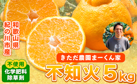 紀の川市不知火 まーくん家の不知火 5kg きただ農園まーくん家[2月末-3月下旬頃出荷]和歌山県 紀の川市 柑橘 化学肥料・除草剤不使用 しらぬい