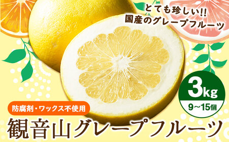 観音山グレープフルーツ 3kg 有限会社柑香園[2027年1月上旬-2月下旬頃出荷]和歌山県 紀の川市 フルーツ 果物 柑橘 グレープフルーツサンタマリア