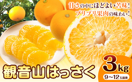 観音山 はっさく 3kg (約9玉-12玉前後)