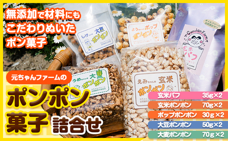 ポンポン菓子詰合せ 元ちゃんファーム[90日以内に出荷予定(土日祝除く)] 和歌山県 紀の川市 玄米 大豆 大麦 トウモロコシ 送料無料