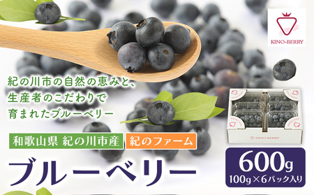 ブルーベリー 600g (100g×6パック入り) 紀のファーム株式会社《2025年5月中旬-8月中旬頃出荷》 和歌山県 紀の川市
