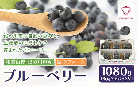 ブルーベリー 1080g (180g×6パック入り) 紀のファーム株式会社  《2025年5月中旬-8月中旬頃出荷》和歌山県 紀の川市