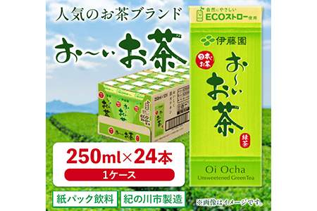 紙パック おーいお茶 250ml×24本 1ケース 株式会社伊藤園 [30日以内に出荷予定(土日祝除く)]