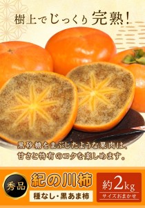 [先行予約]紀の川柿 約2kg (種なし・黒あま柿) 秀品 紀の川市厳選館 [10月上旬-12月上旬頃出荷予定] 和歌山県 紀の川市 柿 カキ かき ジューシー フルーツ