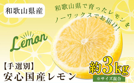 [手選別・産直]紀の川市産の安心国産レモン 約3kg 紀の川市厳選館[12月・1月出荷]