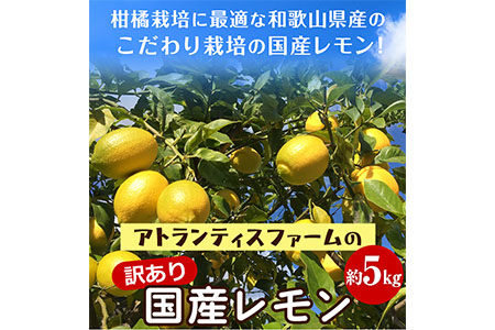 訳あり国産レモン 約5kg アトランティスファーム[11月上旬-2025年3月中旬頃出荷]