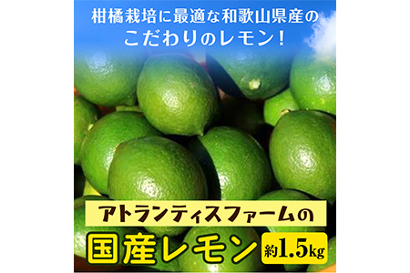 国産レモン 約1.5kg アトランティスファーム[11月上旬-3月中旬頃出荷]