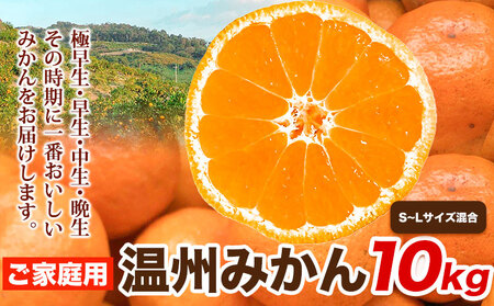 ƒp B݂ 10kg (S`LTCY) acʎys\zs2025N11{-2026N2{oׁt ݂~J݂