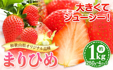 �܂�Ђ� ������ ��1kg 250g×4�p�b�N �ݕ��ʊ�����Ёs2026�N1����{-3�������o�ׁt �a�̎R�� �I�̐�s 1kg ��������