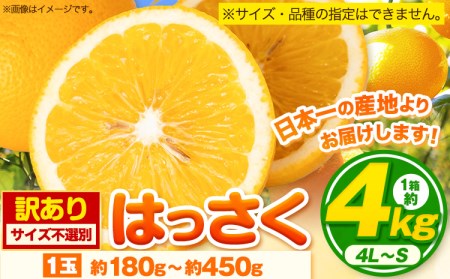 [訳あり][先行予約]はっさく 約4kg (4L~Sサイズ) 不選別 早生･晩生指定不可 [2025年2月上旬-4月中旬頃出荷]