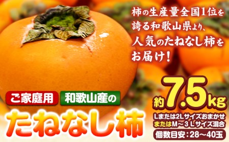 [ご家庭用]和歌山産のたねなし柿約7.5kg Lまたは2LサイズおまかせまたはM〜3サイズ混合(個数目安:28玉〜40玉)[10月上旬-11月末頃出荷予定] 和歌山県 紀の川市 紀の川市厳選館 柿 カキ かき ジューシー フルーツ 秋の味覚 刃根早生 平核無柿