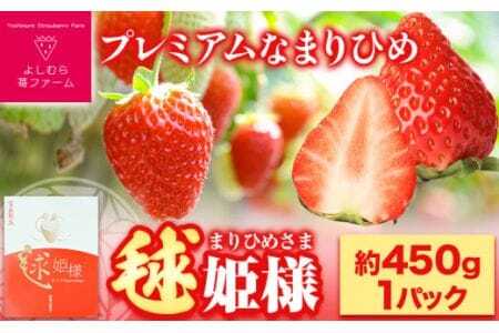 いちご 和歌山県産 毬姫様 いちご(まりひめ)450g 1パック よしむら苺ファーム [1月中旬-3月中旬頃出荷] 和歌山県 岩出市 いちご
