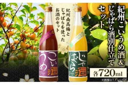 梅酒 紀州こいうめ酒&じゃばら酒別仕立てセット 720ml×各1本 酒のねごろっく [90日以内に出荷予定(土日祝除く)]リキュールリキュール