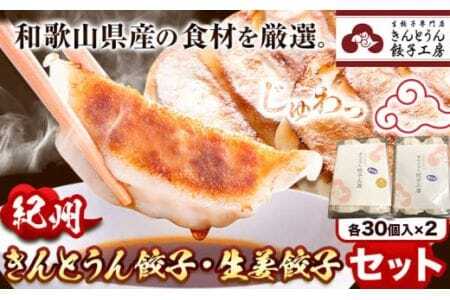 紀州きんとうん餃子 生姜餃子 2種 セット 計60個 ( 30個 入り × 2パック ) きんとうん餃子工房[90日以内に出荷予定(土日祝除く)]