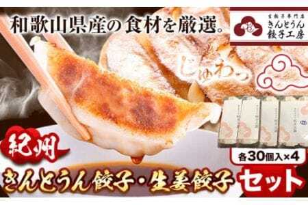 紀州きんとうん餃子 生姜餃子 2種 セット 計120個 ( 30個 入り × 4パック ) きんとうん餃子工房[90日以内に出荷予定(土日祝除く)]