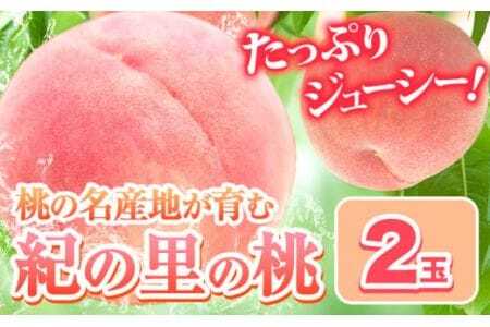 桃 もも 和歌山県産 紀の里の桃 2玉 [2026年6月中旬-8月中旬頃出荷] 桃桃桃