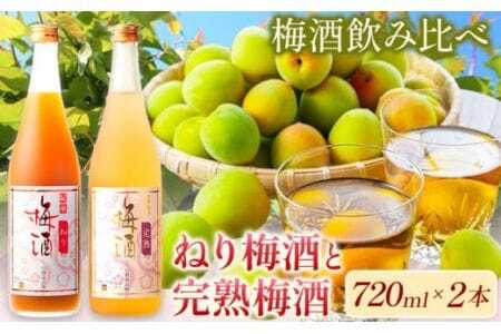 梅酒 紀州完熟南高梅 濃厚 ねり梅酒と芳醇 完熟梅酒 720ml×各1本 酒のねごろっく[30日以内に出荷予定(土日祝除く)]梅酒梅酒
