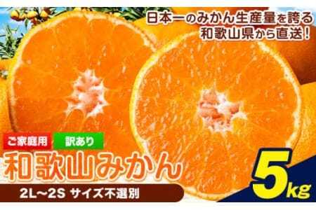 [訳あり/サイズ不選別] 和歌山みかん 約5kg 和歌山県産 [2025年11月中旬-1月中旬頃出荷]みかん