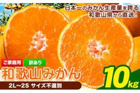 �y�󂠂�/�T�C�Y�s�I�ʁz �a�̎R�݂��� ��10kg �a�̎R���Y �s2025�N11�����{-1�����{���o�ׁt�݂���