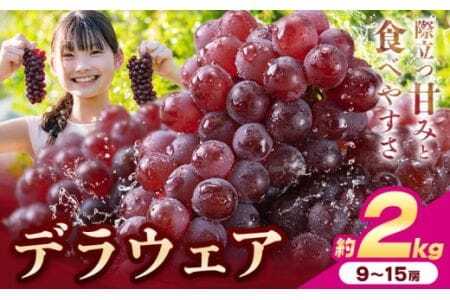 �y��s�\��z�f���E�F�A �Ԃǂ� ��2kg 9�`15�[ �t���[�c �ʕ��s2026�N6�����{-7����{���o�ׁt�a�̎R�� ��o�s �������� ���Y�n ��