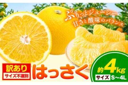 [訳あり/ご家庭用]はっさく 約4kg (4L~Sサイズ サイズ不選別) 早生･晩生指定不可[2月上旬-4月中旬に出荷予定(土日祝除く)]