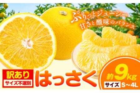 はっさく八朔 約9kg