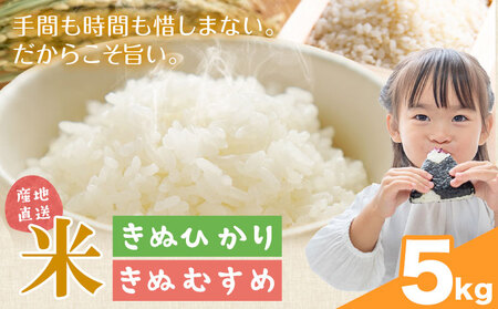 米 こめ きぬひかり きぬむすめ 5kg 東菜穀農園 [9月下旬-3月末頃出荷] 米米米